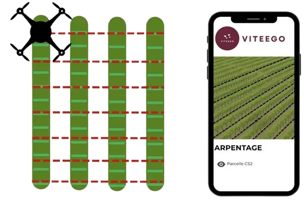 Drone performing a drone vineyard analysis over vines.